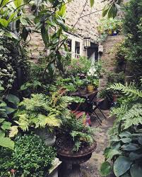 Pottering About Gardens Town Frome Courtyard Towngarden Greenery Plants Flowers Ferns Pelargonium Georg Courtyard Garden Urban Garden Shade Garden