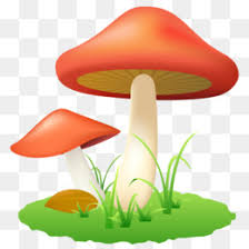 Gnome or dwarf cartoon illustration. Mushroom Cartoon Png Mushroom Cartoon Funny Mushroom Cartoon Background Mushroom Cartoon Love Mushroom Cartoon Template Mushroom Cartoon Coloring Pages Mushroom Cartoon White Mushroom Cartoon Wallpaper Mushroom Cartoon People Mushroom Cartoon Cute