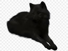 Well, this is my first quiz, so it will probably suck. Dog Black Wolf Puppy Drawing Pack Png 900x675px Dog Alpha Animal Arctic Wolf Black Download Free