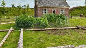 Reframing the Rogan House