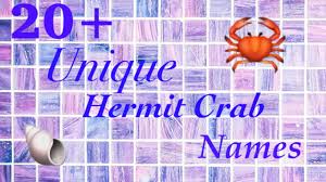 (they will need to have hermit installed, or will be prompted to do so). Why Apps Free Camera Iphone 8 Plus Apk 20 Unique Hermit Crab Names