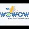 Buy discount faucet online, wowow provide pot filler, pull down kitchen faucet, widespread and centerset bathroom faucet. 1