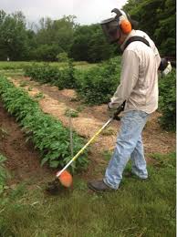 Dan shows you how to safely operate your echo string trimmer. Handheld Trimmers And Brush Cutters Ohioline