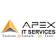 Apex IT Services
