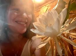 Night blooming cereus finally blooms after two years