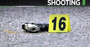 Youth killed in police shooting early Sunday was armed with ghost gun: DA's  office [update]