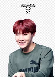 Visa requirements for vietnamese citizens are administrative entry restrictions imposed on citizens of vietnam by the authorities of other states. J Hope Bts South Korea Fire K Pop Png 1280x1800px Jhope Bangs Brown Hair Bts Chin