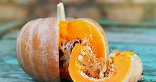 Image result for what part of the pumpkin plant do we eat