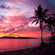 Here are only the best sunset beach wallpapers. Sanya Langkawi Sunset Beach Hotel Sunset Beach Computer Wallpaper Palm Tree Png Klipartz