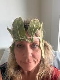 Carol Winchell's Instagram, Twitter & Facebook