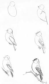 Kus Cizimi Level 1 Bird Drawings Drawings Of Friends Pencil Art Drawings