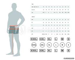 measurements for clothing vector illustration of the