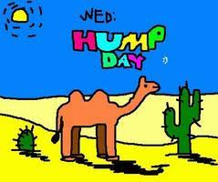 Image result for hump day