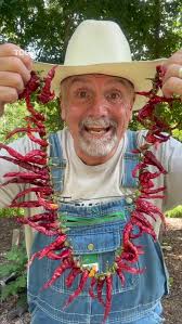 Sewing Peppers To Store #peppers #cayenne #foodie #garden #gardening  #gardentips #farm #farmlife #homestead #homesteadlike #homesteading  #farmtotable #storingfood