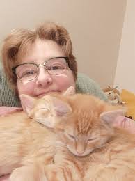 Wholesome Stories Of Cats Adopting Humans: ICanHasCheezburger Edition