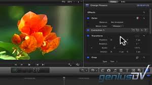 Ffp1 maske, çalışanları toz ve toz gibi havadaki parçacıklara karşı korur. Final Cut Pro X Color Mask Youtube