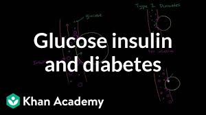 glucose insulin and diabetes video khan academy