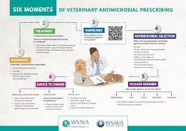 Image result for Antimicrobial Agent