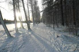 Her kan du gjerne sende oss spørsmål. Nydelig Skogsloyper Bilde Av Fredrikstad Kommune I Ostlandet Tripadvisor