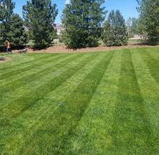 Maybe you would like to learn more about one of these? Integrated Lawn Care Home Facebook