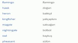 Ingilizce Kus Isimleri Youtube