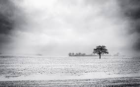 Peasant woman against a background of wheat is an 1890 painting by vincent van gogh. Winter Landscape Blackandwhite Canon Canoneos400d Clouds Grey Landscape Hd Wallpaper Wallpaperbetter