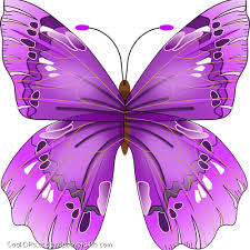 Check spelling or type a new query. Purple Butterfly Drawing Cool Display Pictures Butterfly Drawing Purple Butterfly Butterfly