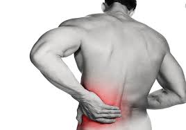 The liver would be found above these on the right. 5 Ways To Get Rid Of Back Pain