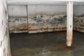 Basement moisture can lead to the development of unpleasant odors and harmful molds and, in severe cases, cause structural damage and greatly impact. Does Your Basement Have Water Damage Water Damage Restoration
