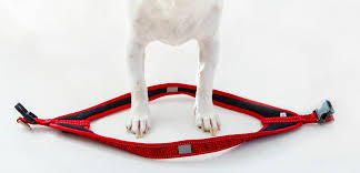 Fast Fit Dog Harness Rogz