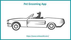 Pet Grooming App Pet Grooming Pets Grooming