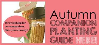 Autumn Herb Fruit Vegies Planting Guide By Temperate Zones About The Garden Magazine