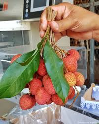 Epingle Sur Ile De La Reunion