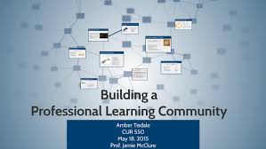 These instructors work together to develop lessons and other initiatives, then they implement and test them to review how well they worked. Professional Learning Community By Amber Tisdale