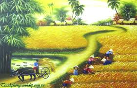 Káº¿t quáº£ hÃ¬nh áº£nh cho cáº£nh ruá»ng lÃºa Äáº¹p