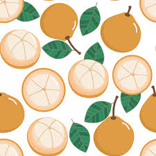 But rambutan throws a bit of a surprise, with its unique name and equally unique appearance! Santol Clipart Vector In Ai Svg Eps Or Psd