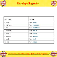 Plural Spelling Rules Learn English Spelling Rules Learn English Vocabulary