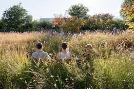 Martin Luther King Park By Atelier Jacqueline Osty Associes Landscape Architecture Platform Landezine In 2020 Kings Park Landscape Architecture Landscape Design