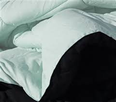 These oversized full comforters are sure to fit full bed dimensions. Hint Of Mint Black Reversible College Comforter Twin Xl