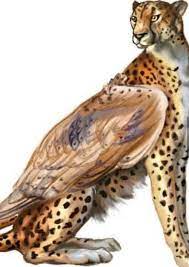 A Winged Cheetah Can You Believe These Are Real Canning Cheetah Wings