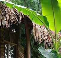 Amazon.com: LIUNI Artificial thatch Roofing roll Garden Tiki ...