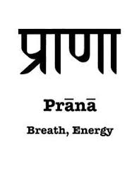 4d33bdc5bc1a7e8985ff2414cd3cc570 Jpg 236 305 Sanskrit Symbols Yoga Tattoos Sanskrit Tattoo