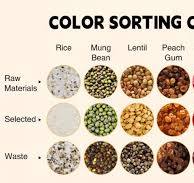 Small Peach Gum Color Sorter Cashew Color Sorter Ideal For ...
