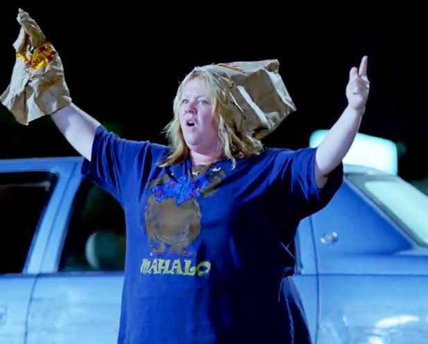 The Case for Melissa McCarthy's 'Tammy'