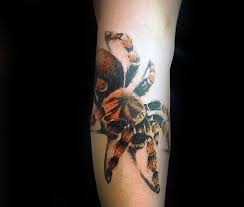 Look for aquariums that are. 70 Tarantula Tattoo Designs For Men Spider Ink Ideas