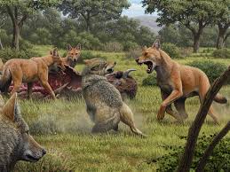 Because the genetic code for a protein is in the dna in the nucleus of a cell, the code must be moved from the nucleus to the cytoplasm. Dire Wolves Weren T Actually Wolves Dna Analysis Reveals Smart News Smithsonian Magazine
