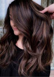Gorgeous Brunette Balayage Highlights For Women 2019 Stylesmod Summer Hair Color For Brunettes Pretty Hair Color Cool Hair Color