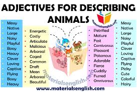 Adjectives For Describing Animals English Adjectives Adjectives Adjectives For Kids