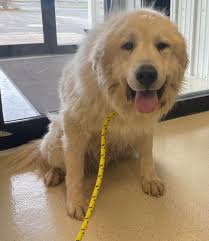 Found by Deer Park, WI in St Croix county...see original post for info!  (I'm just sharing to get the word out)