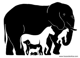 Resultado de imagem para dia mundial da medicina veterinaria em 2016